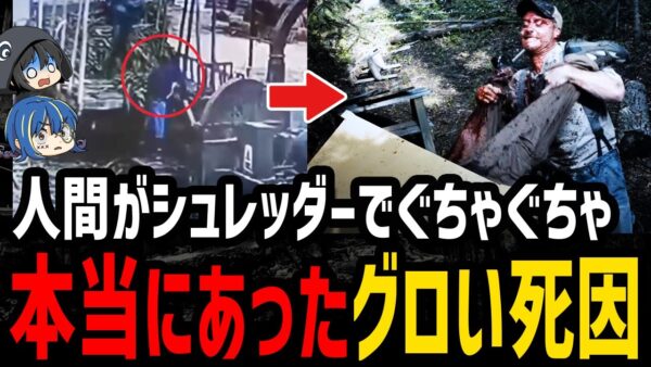 【ゆっくり解説】人間が一瞬でぐちゃぐちゃに…本当にあったグロすぎる死因４選
