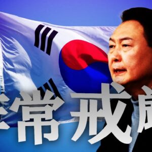 【ゆっくり解説】前代未聞の「非常戒厳」を分かりやすく解説します。