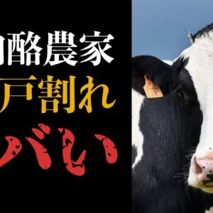 【ピンチ】このままだと国産牛乳が飲めなくなるかもしれません…