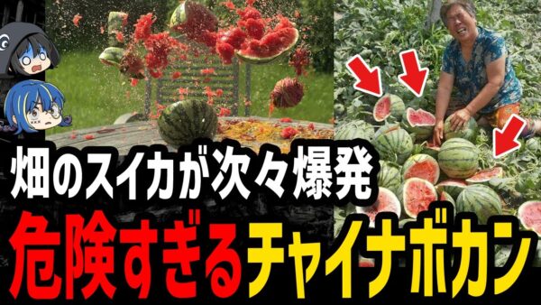 【ゆっくり解説】食べものすら爆発物に…中国製の危険すぎるチャイナボカン８選