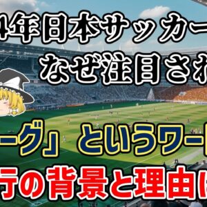 【ゆっくり解説】なぜ今年注目された？『税リーグ』というワードの広まりと…その背景を解説【サッカー】