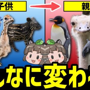 【大変身】あなた誰の子…？親子で違い過ぎる見た目の生き物10選
