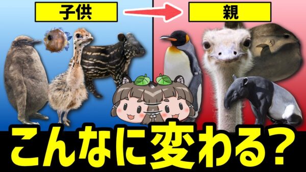 【大変身】あなた誰の子…？親子で違い過ぎる見た目の生き物10選