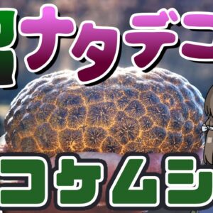 <span class="title">【なにこれ】沼に生息するナタデココ！？ブヨブヨ謎生物「コケムシ」【へんないきもの#118】</span>