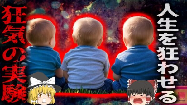 【1961年】『最悪の心理実験』三つ子の人生を狂わせた狂気の心理学実験 非人道的な社会実験によって三人は…【ゆっくり解説】