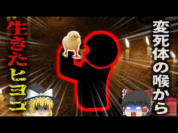 【2024年】『変死体の中からヒヨコ』死因不明の遺体を解剖した結果 喉から約20cmの生きた「ヒヨコ」が…儀式の一環だった？【ゆっくり解説】
