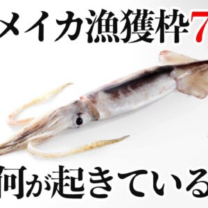 <span class="title">【え？】今年のスルメイカ漁獲枠7割減へ←これ、実はとんでもない事です</span>