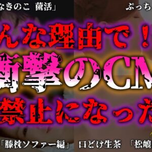 <span class="title">【ゆっくり解説】『放送禁止CM』特集！面白いけど禁止された理由を徹底解説『闇学』</span>