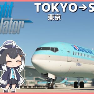 <span class="title">【東京→ソウル】MSFSで世界一周旅行！韓国のインチョン国際空港へのフライト！</span>