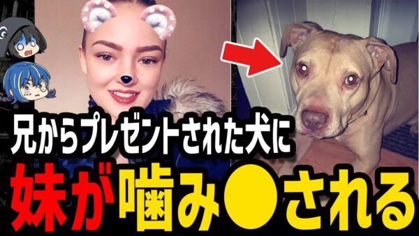 【ゆっくり解説】優しさが起こした最悪の悲劇…本当にあった最悪の死因５選