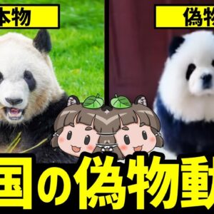 <span class="title">【逆に見たい】中国で話題になったあり得ない偽物動物たち</span>