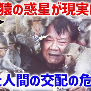 <span class="title">【ゆっくり解説】禁断のキメラ実験！猿の脳に人間の遺伝子を移植したら...</span>