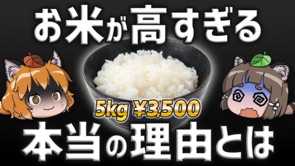 【全て話します】お米が異常に高すぎる本当の理由とは…