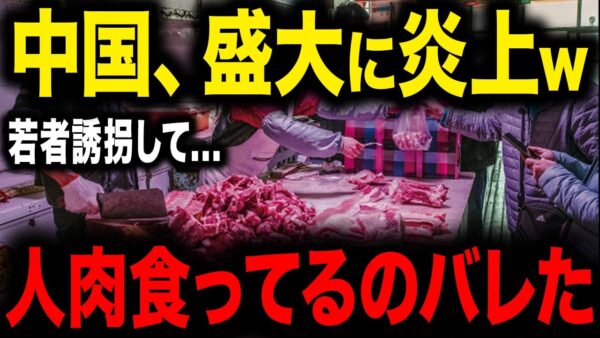 【大炎上】他国ドン引き...若者攫って人肉売買していることが判明しました【ゆっくり解説】