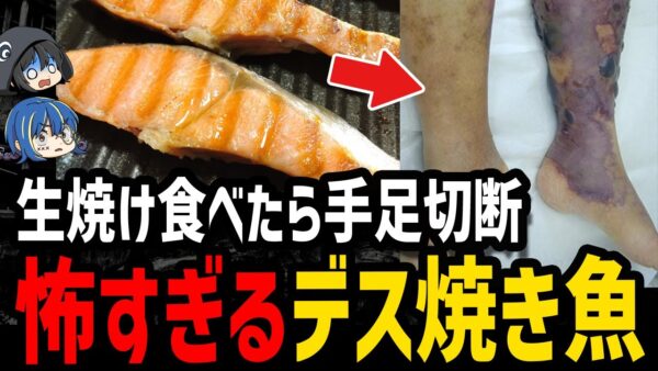 【ゆっくり解説】生焼け魚を食べて四肢切断…本当にあった怖いデス食品事件５選