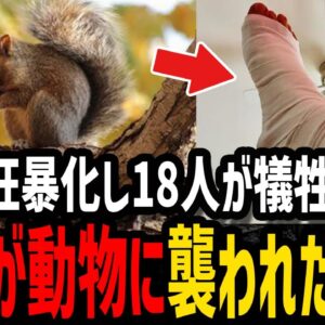 <span class="title">【ゆっくり解説】発狂したリスが市民を次々と…人間が動物に襲われた事件５選</span>