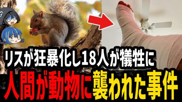 【ゆっくり解説】発狂したリスが市民を次々と…人間が動物に襲われた事件５選