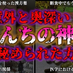 <span class="title">【ゆっくり解説】『うんちが地球を救う！？』意外な真実 世界記録うんちく『闇学』</span>