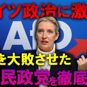 【ゆっくり解説】ナチスの再来？ドイツで大躍進中の極右政党を徹底解説します