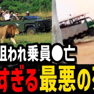 【ゆっくり解説】一瞬でペチャンコに…恐ろしすぎる最悪の絶命５選