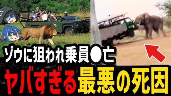 【ゆっくり解説】一瞬でペチャンコに…恐ろしすぎる最悪の絶命５選