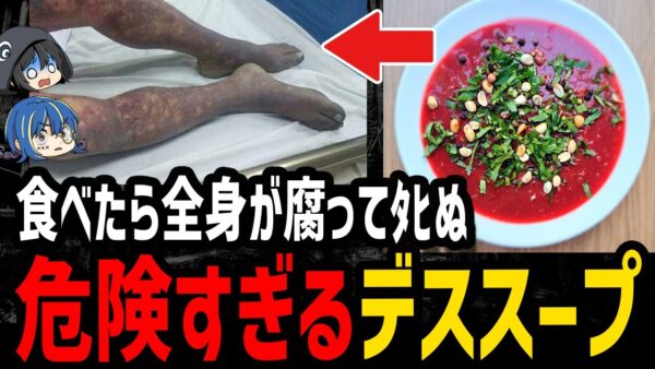 【ゆっくり解説】 絶対に真似しないで。危険すぎるデス食品事件５選