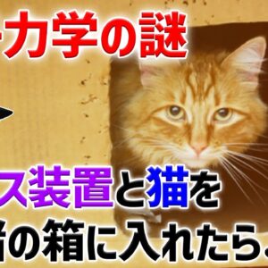 <span class="title">【ゆっくり解説】「シュレーディンガーの猫」のパラドックスを解説</span>