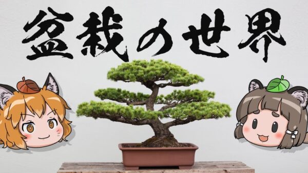 【1億円】盆栽の世界｜若い人ほど盆栽を早く始めるべき理由とは