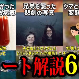 【ゆっくり解説】ゆっくり1分解説まとめ60連-第2弾【作業用・総集編】