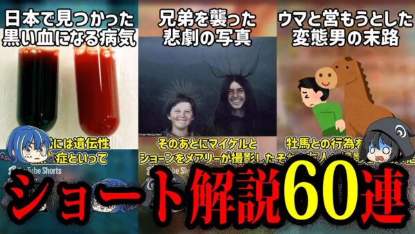 【ゆっくり解説】ゆっくり1分解説まとめ60連-第2弾【作業用・総集編】