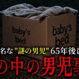 【1957年】『箱の中の男児事件』全米を震撼させた未解決事件 身元不明だった男児の正体が65年後に判明【ゆっくり解説】きめぇ丸