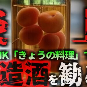 【2007年】NHK『簡単に作れるみりん梅酒おすすめです』→酒税法違反の疑いで非難*到し大炎上 家庭では何故果実酒造りが許されている？法律の例外規定とは【ゆっくり解説】