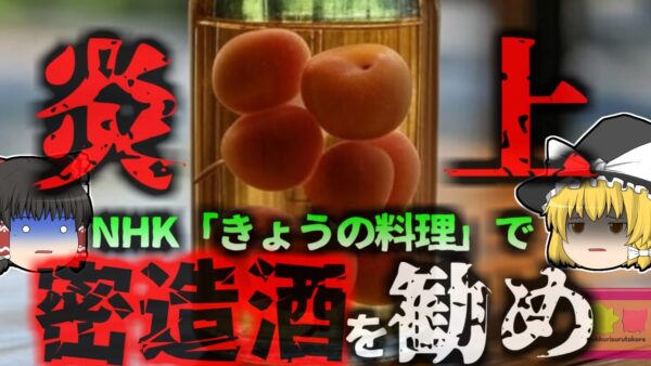 【2007年】NHK『簡単に作れるみりん梅酒おすすめです』→酒税法違反の疑いで非難*到し大炎上 家庭では何故果実酒造りが許されている？法律の例外規定とは【ゆっくり解説】