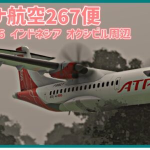 #201 進入経路をショートカットした結果、空港周辺の山腹に激突し墜落│トリガナ航空267便墜落事故