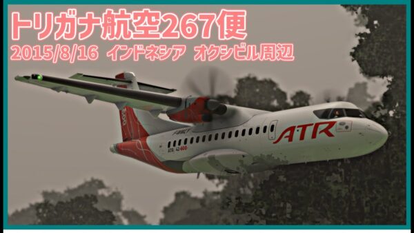 #201 進入経路をショートカットした結果、空港周辺の山腹に激突し墜落│トリガナ航空267便墜落事故