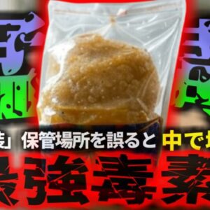【2024年】『自然界最強の毒素』廊下で約二か月保管していたパウチ総菜を食べた女性 全身麻痺で緊急入院 密閉食品の落とし穴 寒い地域特有の勘違い『ボツリヌス症』【ゆっくり解説】