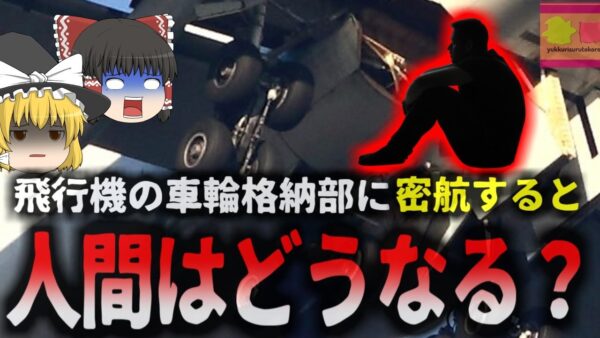 【2024年】『-56℃の高空で氷漬け』旅客機の車輪格納部から氷結した男性の遺体が発見される 密航目的で忍び込んでいた？【ゆっくり解説】