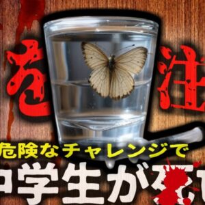 【2025年】『蝶を体内に注射し死亡』仲間に入るために危険なチャレンジ受けた中学生が死亡 虫をすり潰した汁を注射器で足に注入し…【ゆっくり解説】