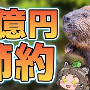 【お手柄】ビーバーさん、ダム建設で2億円浮かす／肉食リスがネズミを狩る！？ほか3本【生き物ニュース】
