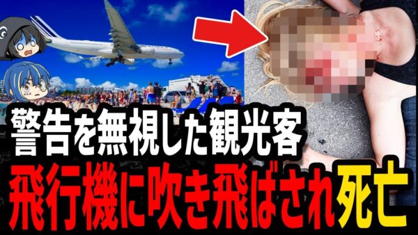 【ゆっくり解説】世界一危険な●●で初の死者…本当にあったありえない死因5選