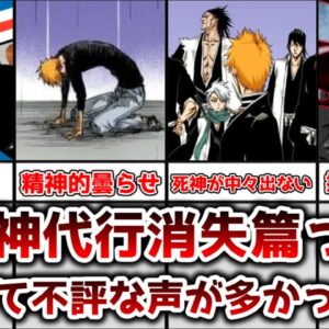 【ゆっくり解説】最も不遇な長編？ 死神代行消失篇が不評な理由を解説、考察【BLEACH】