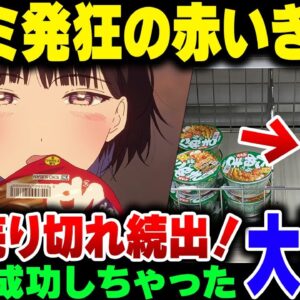 【赤いきつね】カスフェミが必死に燃やそうとした赤いきつねCM、話題になりすぎて売り切れラッシュになってしまう。めちゃくちゃ成功しとるやん【ゆっくり解説】