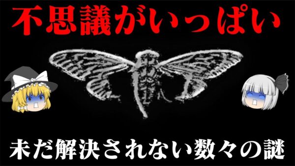 世界史未解決事件File総集編vol.4