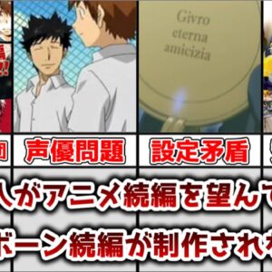 【ゆっくり解説】多くの人が望んでいるのに 何故リボーンのアニメの続編が制作されないのかを解説、考察【家庭教師ヒットマンREBORN!】