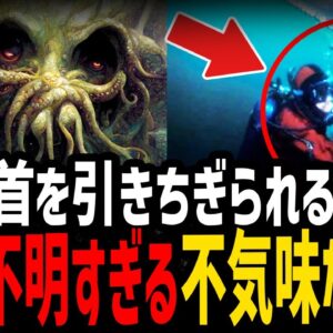 【ゆっくり解説】最後まで理解不能…本当にあった意味不明事件５選