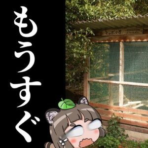 【さよなら】日本の学校から