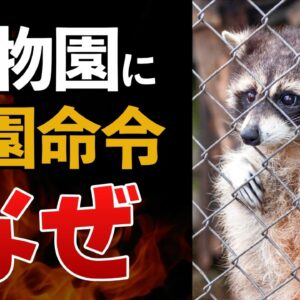 【前代未聞】動物園にまさかの