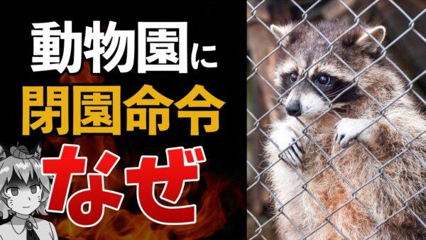 【前代未聞】動物園にまさかの