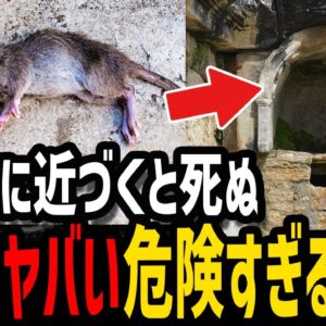 【ゆっくり解説】近づくでだけで死ぬ！？絶対に行っていけない危険な場所５選