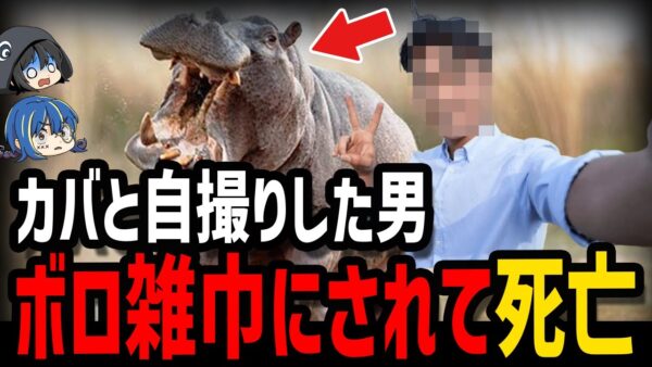 【ゆっくり解説】自撮りした結果→死亡。本当にあった信じられない死因５選